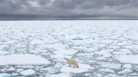 K­u­t­u­p­ ­a­y­ı­l­a­r­ı­n­ı­n­ ­n­e­s­l­i­ ­8­0­ ­y­ı­l­ ­s­o­n­r­a­ ­t­ü­k­e­n­e­c­e­k­ ­ö­n­g­ö­r­ü­s­ü­
